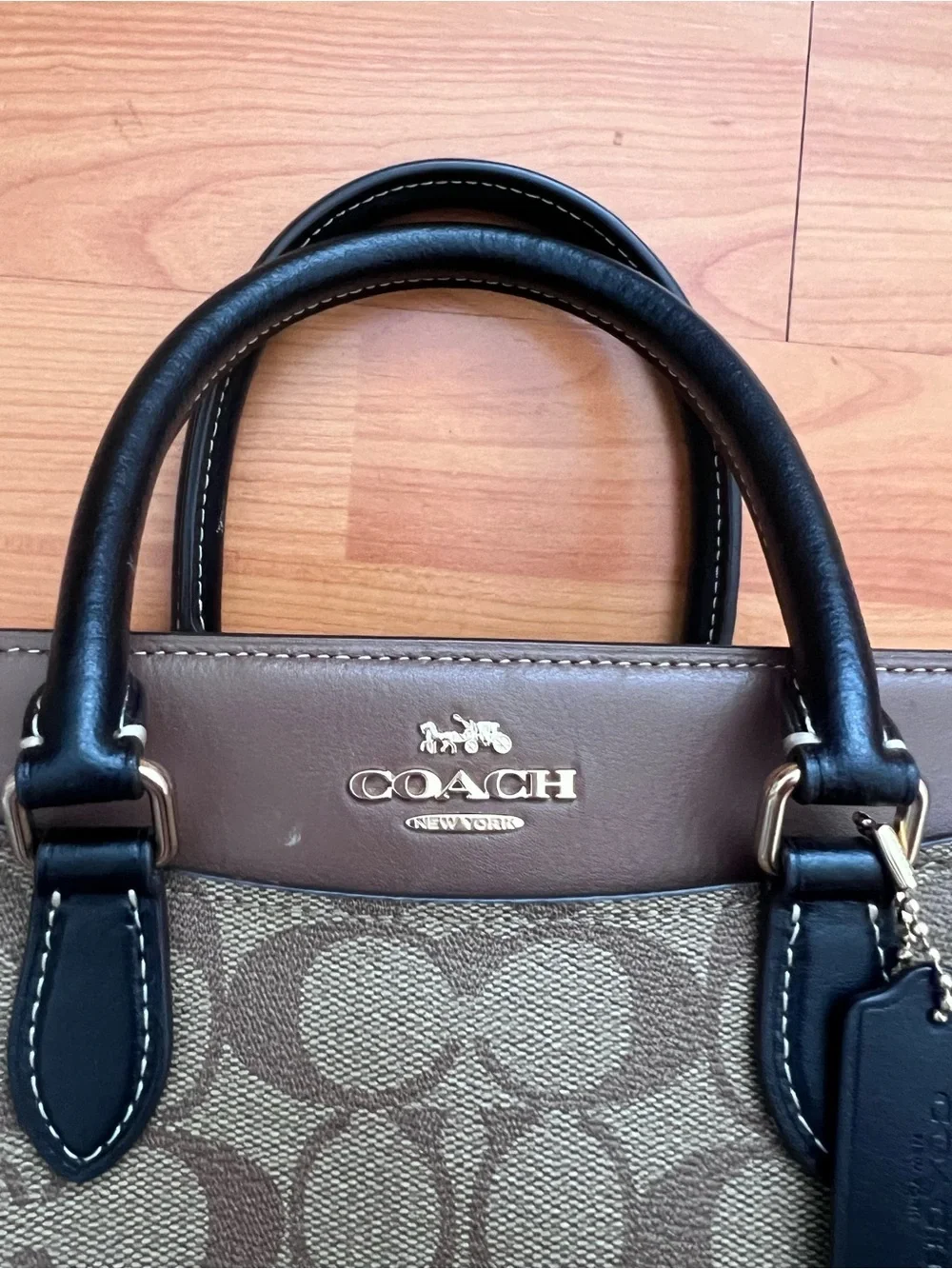 Coach Mini Darcie Caryall in Colorblock Signature Canvas